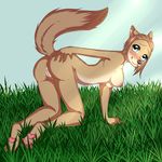  alpha_and_omega anthro bent_over blue_eyes breasts butt canine grass mammal pussy raised_tail sm0shy sweets_(alpha_and_omega) wolf 