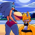  big_breasts breasts canine denizen1414 dreamcastzx1 female fox hedgehog huge_breasts huge_thighs mammal small_breasts sonic_(series) sonic_the_hedgehog tight_swimsuit 