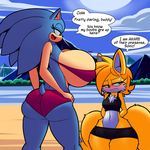  big_breasts breasts canine denizen1414 dreamcastzx1 female fox hedgehog huge_breasts huge_thighs mammal small_breasts sonic_(series) sonic_the_hedgehog tight_swimsuit 