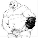  anthro bear big_muscles clothing male mammal monochrome musclegut muscular muscular_male seikeikei2015 simple_background solo underwear undressing white_background 