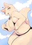  &lt;3 2017 4_fingers anthro areola big_breasts bikini blue_sky breasts canine clothing cloud dog_tags female fur kemono looking_at_viewer low-angle_view mammal navel nipples outside puffy_areola side_view sky solo swimsuit tan_fur tenyati 