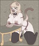 2017 anthro big_breasts blush breasts cat clothed clothing collar exposed_breasts feline female garter_belt garter_straps hi_res huge_breasts legwear looking_at_viewer mammal partially_clothed pussy sinfuldreams15 sketch solo stockings 