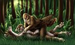  2011 anal anthro avian beak bird claws curiodraco eagle erection feathers forest hawk human lying male male/male mammal on_front penetration penis pinned red-tailed_hawk sex story story_in_description transformation tree wings 