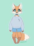  canine cute dill fluffy fox male mammal red_fox sheepish shota small_(disambiguation) vulpes_vulpes young 