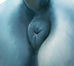  2017 ambiguous_gender anus butt dock equine feral hi_res mammal puffy_anus selenophile solo 