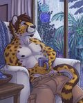  2016 anthro black_nipples brown_eyes brown_hair cheetah chewycuticle clothed clothing cup feline hair inside male mammal nipples pants raining sitting solo steam topless 