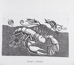  2000 arthropod black_and_white claws crustacean dickhead feral humor karl_gustav_gjertsen lobster male marine monochrome norwegian_text penis seabed seashell seaweed solo text traditional_media_(artwork) 