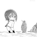  animal bird black_legwear chibi coroha eyebrows_visible_through_hair grape-kun greyscale humboldt_penguin humboldt_penguin_(kemono_friends) kemono_friends kneehighs looking_at_another lowres monochrome penguin twitter_username 