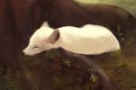  2018 ambiguous_gender arctic_fox canine chewyorphan eyes_closed feral fluffy fox fur inner_ear_fluff mammal outside sleeping solo white_fur 