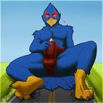  anthro avian bird bulge clothing cum falco_lombardi feet inside_clothing inside_underwear macro male nintendo simple_background speedo star_fox swimsuit video_games yuniwolfsky 