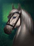  2017 ambiguous_gender anuta_belko blue_eyes bridle digital_media_(artwork) equine feral fur green_background headshot_portrait hi_res horse looking_at_viewer mammal mane portrait riche side_view simple_background snout solo white_fur white_mane 