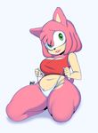  2016 amy_rose anthro bizounette breasts cleavage clothed clothing female fur green_eyes hedgehog hi_res looking_at_viewer mammal navel panties simple_background smile solo sonic_(series) thick_thighs underwear video_games white_background wide_hips 