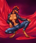  2017 4_toes 5_fingers absurd_res alexandra_(flexible_survival) anthro arm_support black_nose breasts brown_eyes canine claws clothed clothing crouching digital_media_(artwork) digitigrade doberman dog female flexible_survival front_view fur hair hi_res jacket jeans leather leather_jacket looking_at_viewer lytta mammal multicolored_fur navel nipples open_jacket pants partially_clothed red_hair short_hair solo spread_legs spreading toe_claws toes torn_bottomwear two_tone_fur 