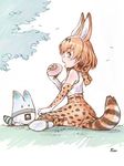  animal_ears kemono_friends serval tail thighhighs yoshikawa_kazunori 