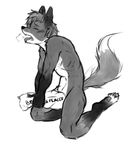  2017 anthro blush canine eyes_closed fox fur greyscale hair invalid_tag kneeling laudanumserum looking_pleasured male mammal monochrome nipples nude open_mouth orgasm paws pillow sex simple_background sketch solo teeth tongue tongue_out white_background 