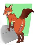  after_sex animal_genitalia animal_penis anthro backsack balls black_nose butt canine canine_penis cum cum_in_ass cum_inside disney drooling erection fox fur green_eyes harry_amor&oacute;s knot mammal nick_wilde penis presenting presenting_hindquarters raised_tail saliva smile solo tongue tongue_out zootopia 