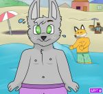  2019 beach canid canine canis fox fur furryt_paw green_eyes grey_fur male mammal seaside umbrella ursid wolf 