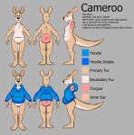 anthro barefoot black_text blue_clothing blue_hoodie blue_topwear bottomless bottomless_anthro bottomless_male cameroo cameroo_(artist) cameroo_(character) claws clothed clothing english_text feet fur grey_background hoodie hoodie_only male model_sheet open_mouth pouch_(anatomy) simple_background smile solo tan_body tan_fur text tongue_showing topwear topwear_only