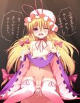  tagme touhou yukari_yakumo 