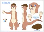  anthro blue_eyes brown_nose facial_markings hat headwear looking_at_viewer male mammal markings model_sheet multiple_images mustelid otter paws shem shorty-antics-27 webbed_feet webbed_hands 