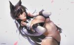  1girl alternate_costume animal_ears arm_support artist_name atago_(azur_lane) azur_lane bangs bikini black_bikini black_hair black_legwear breasts brown_eyes cleavage closed_mouth commentary curvy dutch_angle extra_ears g-tz grey_background hair_ribbon hands_up highleg highleg_bikini jacket large_breasts logo long_hair looking_at_viewer mole mole_under_eye navel parted_lips petals race_queen red_lips ribbon shrug_(clothing) sidelocks simple_background skindentation sleeve_cuffs solo swept_bangs swimsuit thighhighs thighs white_ribbon wrist_cuffs 