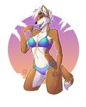  5_fingers anthro black_lips black_nose bra breasts brown_fur canine clothing dingo eyewear female fur goggles hair mammal midriff navel smile solo underwear white_hair wide_hips wyla 