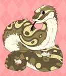  2016 ambiguous_gender black_eyes brown_fur cute feral fluff_snake fluffy forked_tongue fur henzolin hi_res looking_at_viewer python reptile scalie snake solo spots tongue tongue_out white_fur 