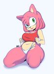 2016 amy_rose anthro bizounette breasts cleavage clothed clothing female fur green_eyes hedgehog hi_res looking_at_viewer mammal navel panties simple_background smile solo sonic_(series) thick_thighs underwear video_games voluptuous white_background wide_hips 