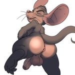  anthro anus backsack balls barefoot big_ears buckteeth erection eyes_closed hi_res humanoid_penis jerseydevil looking_back low-angle_view male mammal nude one_leg_up penis perineum puffy_anus raised_leg rat rear_view rodent solo teeth whiskers 