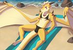  a13314877 beach bikini clothing dragon lunalei male sand seaside swimsuit water 
