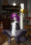  2016 3d_background 4_toes anthro arched_back black_nose blue_eyes blush breasts canine clitoris collar crouching erect_nipples facial_markings feet female fur grey_fur hair hand_on_breast hi_res holding_breast inside mammal marblesoda markings messy nipples nude ponytail presenting presenting_pussy purple_hair pussy pussy_juice solo spread_legs spreading syrth toes tongue tongue_out wolf 