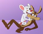  anthro backsack balls canine coyote danger_mouse danger_mouse_(series) duo erection kneeling ladysomnambule looney_tunes male male/male mammal mouse penis rodent sex simple_background smile warner_brothers white_background wile_e._coyote 