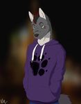  2015 anthro black_hair blurred_background canine cinta clothed clothing eyebrows fur green_eyes grey_fur hair hands_in_pockets hoodie male mammal markings multicolored_fur multicolored_hair red_hair smile solo standing white_fur wolf 