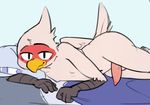 2016 anthro avian bedding bird blanket digital_media_(artwork) dosent erection looking_at_viewer lying male martin_(dosent) penis pillow simple_background solo talons tapering_penis 