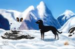  2015 black_fur black_nose blurred_background brown_fur canine cinta curled_tail dog duo feral flopped_ears fur mammal mountain multicolored_fur papillion sky snow spots standing white_fur 