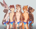  2017 anthro balls bear black_nose blue_eyes brown_eyes brown_fur brown_nose bulge canine clothed clothing dog fangs featureless_chest feline flaccid flat_colors floppy_ears front_view fur gloves_(marking) green_eyes grey_fur group hand_on_hip hi_res lagomorph lineup long_ears looking_at_viewer male mammal markings martin_bell multicolored_fur mustelid navel open_mouth orange_fur otter panties panty_pull penis penis_base pinup pose purple_eyes rabbit raised_tail saber-toothed_cat shiuk short_tail side_view signature slim smile speedo standing swimsuit tan_belly tan_fur teasing theodore_cooper tongue tongue_out topless two_tone_fur underwear underwear_pull young 