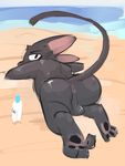  anthro anus backsack balls beach butt cat dosent feline hi_res isaac_(dosent) looking_back lying male mammal outside pawpads raised_tail seaside solo water 