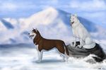  2015 blurred_background brown_fur brown_nose canine cinta dog duo feral fur husky looking_aside looking_at_viewer looking_up mammal mountain multicolored_fur panting pink_nose rock siberian_husky sitting snow standing tongue tongue_out white_fur 
