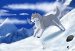  2015 black_nose blue_eyes canine cinta cloud dog ears_back feral fur grey_fur husky looking_up mammal mountain multicolored_fur paws raised_tail rock running siberian_husky side_view sky snow solo white_fur 