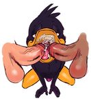  2015 5_fingers absurd_res anthro avian balls beak beakjob bird black_feathers bulge cum cum_in_mouth cum_inside daffy_duck digital_media_(artwork) disembodied_penis double_fellatio double_oral dovne duck erection feathers fellatio gaping_mouth group half-closed_eyes hi_res human human_on_anthro humanoid_penis interspecies kneeling looney_tunes male male/male mammal mouth_shot open_mouth oral partially_retracted_foreskin penis semi_pov sex simple_background tongue uncut vein warner_brothers white_background 