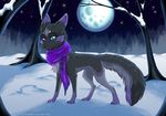  2015 canine feral fluffy fluffy_tail fox fur mammal moon night outside paws rukifox scarf snow solo standing 