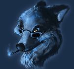  anthro blue_background canine cigarette eyewear hi_res looking_at_viewer male mammal orange_eyes portrait simple_background smoking solo sprinkah sunglasses wolf 