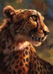  2017 abstract_background ambiguous_gender black_fur black_spots brown_eyes brown_fur bust_portrait cheetah feline feral fur hi_res kenket mammal open_mouth painting_(artwork) portrait solo spots teeth traditional_media_(artwork) 