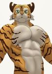  abs cactua feline mammal muscular pecs pectoral tiger 