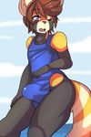  2017 absurd_res anthro black_nose blue_eyes blue_sky brown_hair bulge clothed clothing day digital_media_(artwork) erection fur hair hi_res kami-chan male mammal multicolored_fur one-piece_swimsuit one_eye_closed open_mouth outside red_panda ringed_tail short_hair sky solo standing swimsuit tight_clothing water 