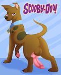  2017 animal_genitalia animal_penis anus balls blue_eyes butt camychan canine canine_penis claws collar dog feral great_dane hi_res hindpaw knot licking licking_lips looking_at_viewer looking_back male mammal pawpads paws penis pink_pawpads pink_penis scooby-doo scooby-doo_(series) smile solo text toe_claws tongue tongue_out 