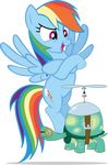  blue_feathers blue_fur cutie_mark equine eyewear feathered_wings feathers female feral flying friendship_is_magic fur goggles hair male mammal multicolored_hair my_little_pony pegasus propeller rainbow_dash_(mlp) rainbow_hair reptile scalie tank_(mlp) tortoise turtle wings 