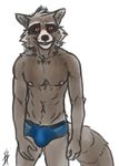  abs anthro buckwulf bulge clothed clothing guardians_of_the_galaxy male mammal marvel muscular nipples pecs raccoon rocket_raccoon topless underwear 