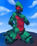  2017 absurd_res animal_genitalia anthro avian beak bird black_penis blue_eyes blue_sky cloud day digital_media_(artwork) erection feathers front_view genital_slit green_feathers half-closed_eyes hi_res kneeling looking_at_viewer male multicolored_feathers navel nude open_mouth outside parrot penis red_feathers sky slit smile solo tapering_penis tongue zerolativity 