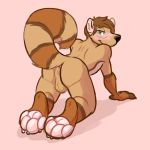  4_toes anthro anus backsack balls bent_over blush broghan brown_fur foot_focus fur inviting looking_at_viewer male mammal nude pawpads paws presenting procyonid raccoon solo sqdicks toes 